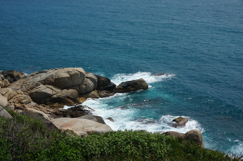 石海龜